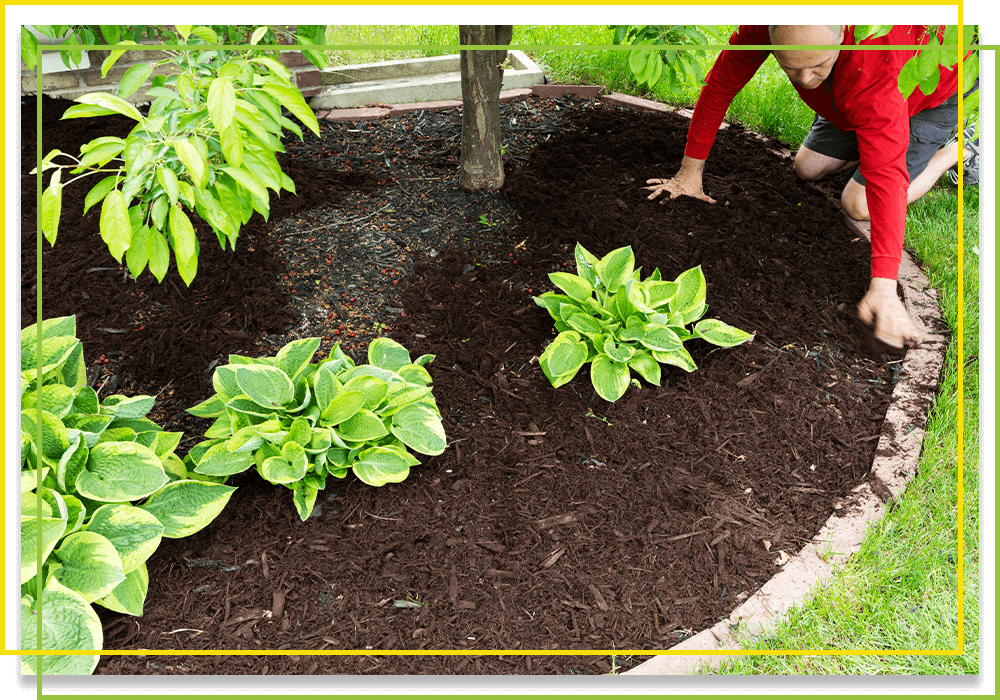 Mulch Sales & Installation Charlotte Get A Free Estimate 4th